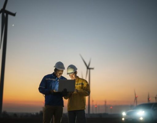 Олена Шуляк підкреслює важливість дерева у відновленні України